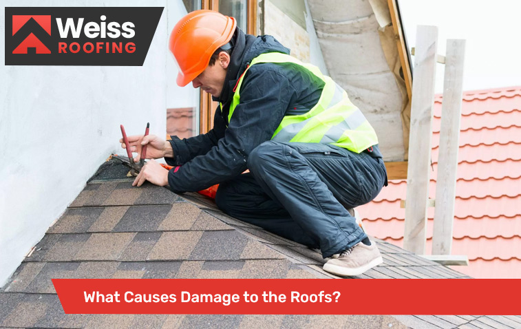What Causes Damage to the Roofs?
